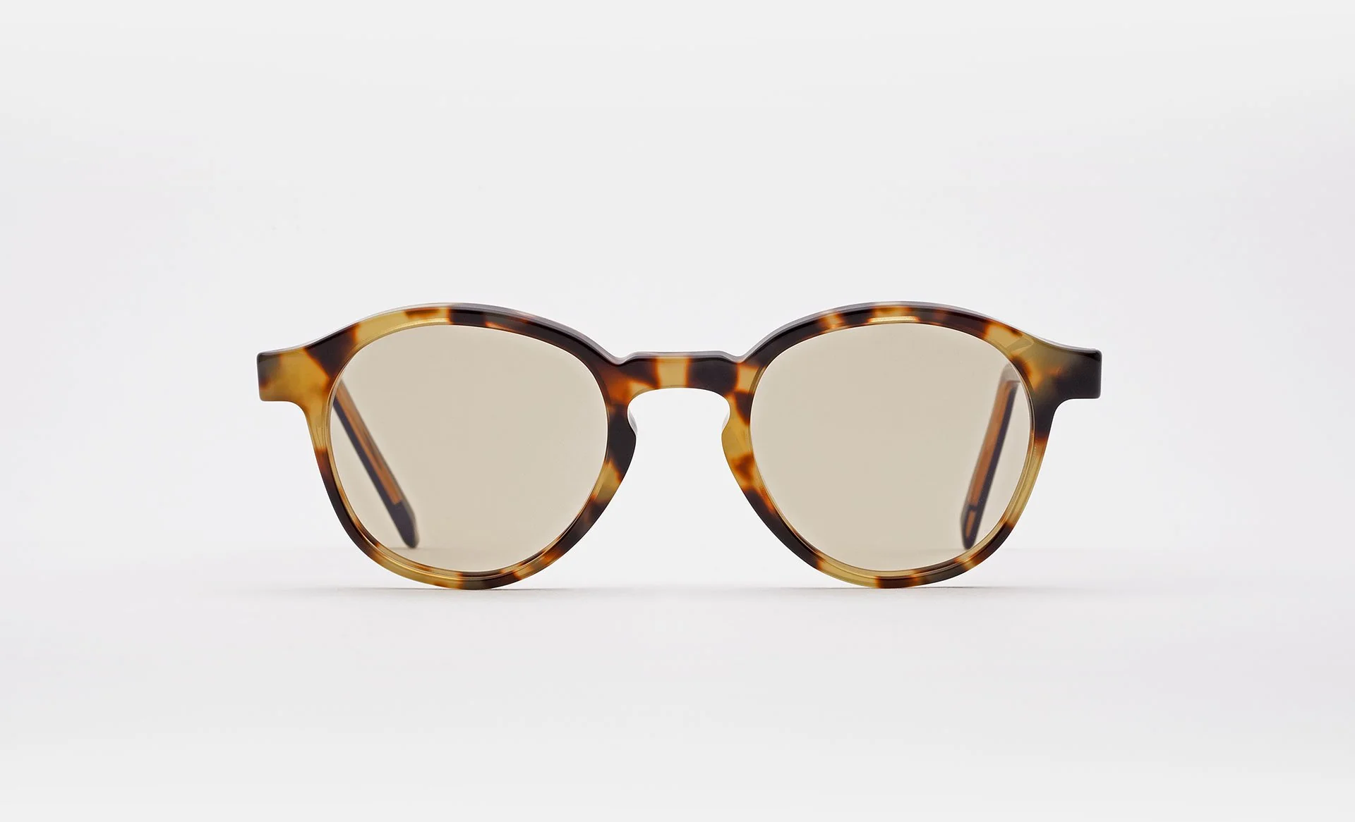 The Warhol Tortoise - Image 3