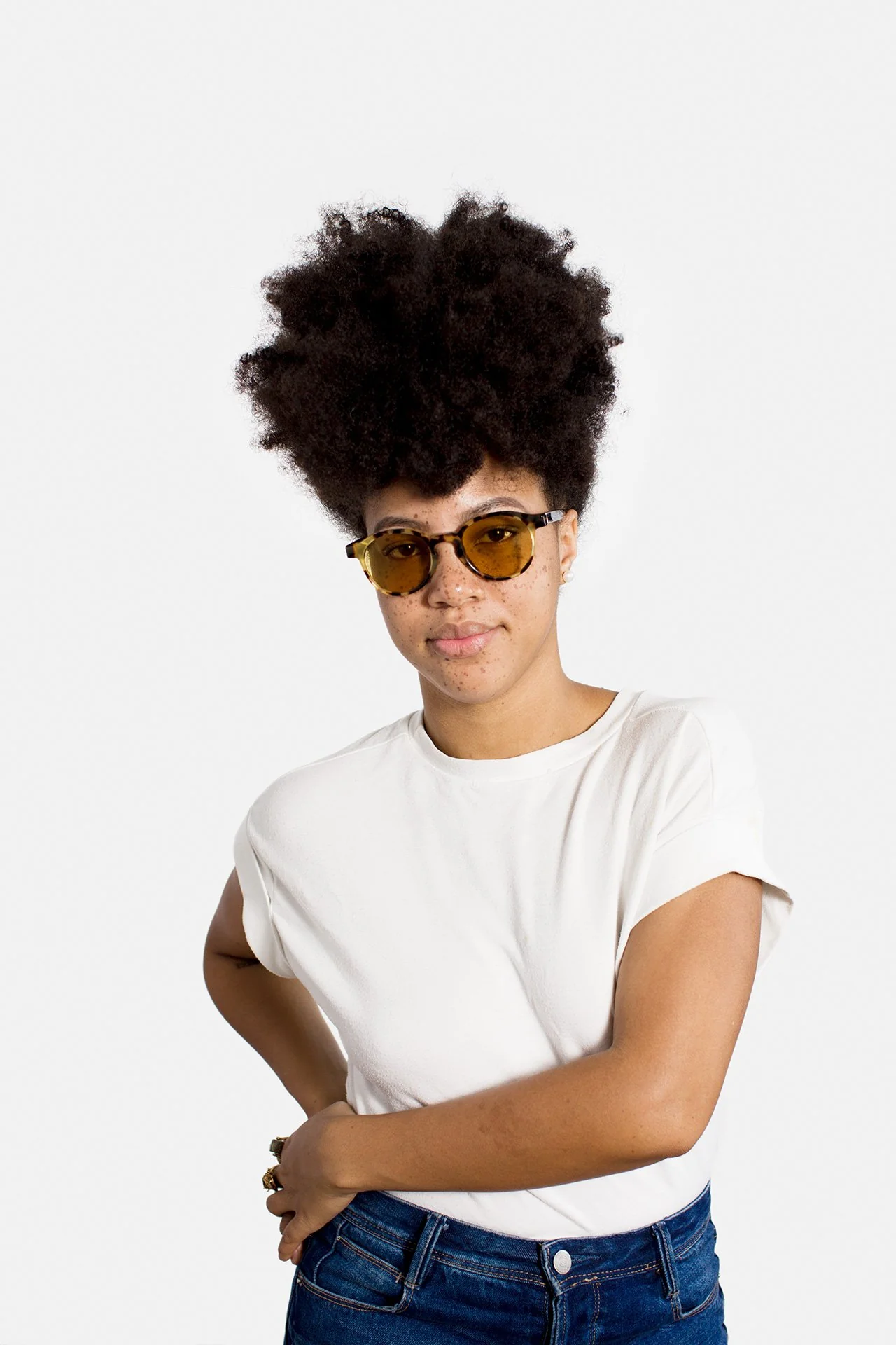 The Warhol Tortoise - Image 4