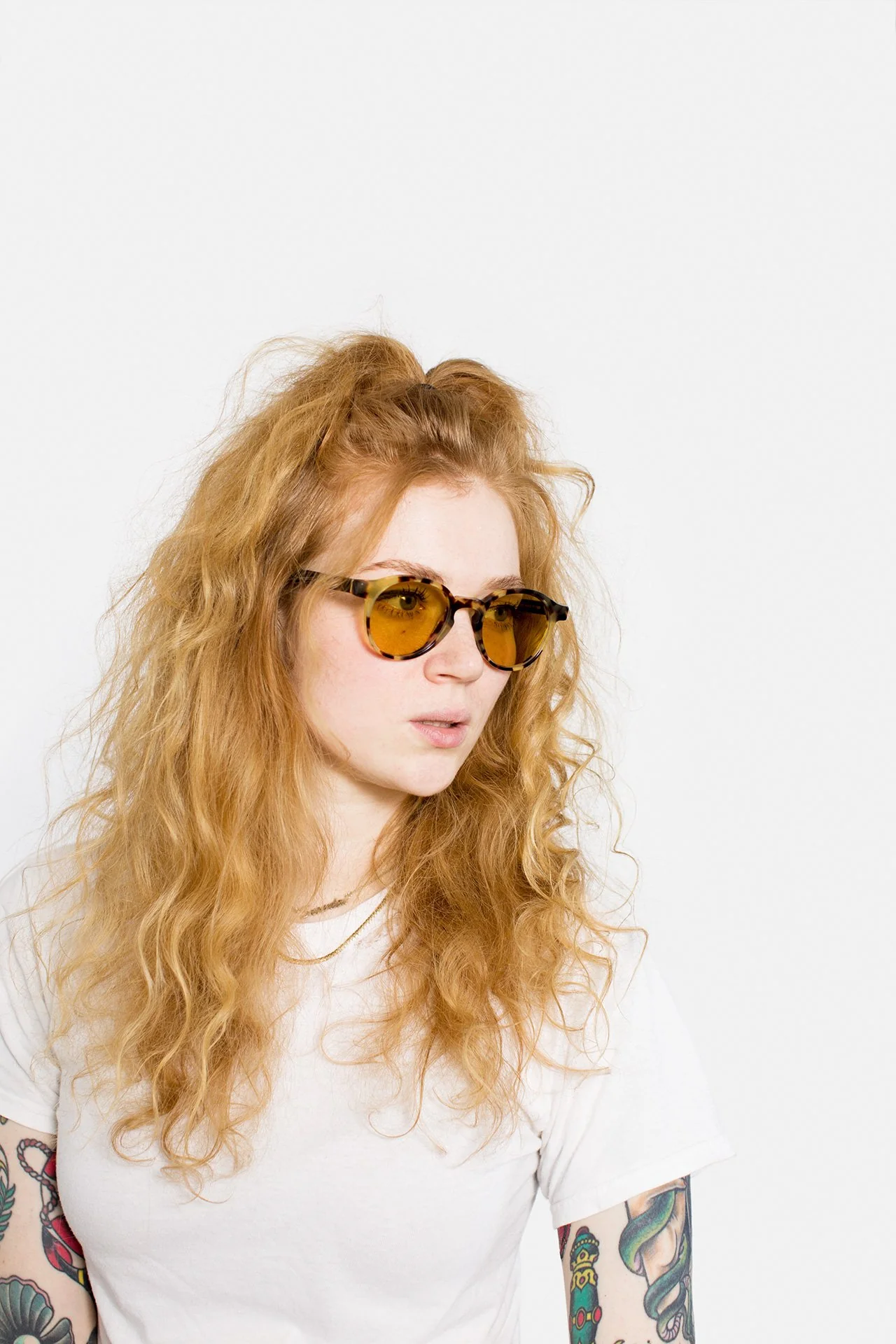 The Warhol Tortoise - Image 5